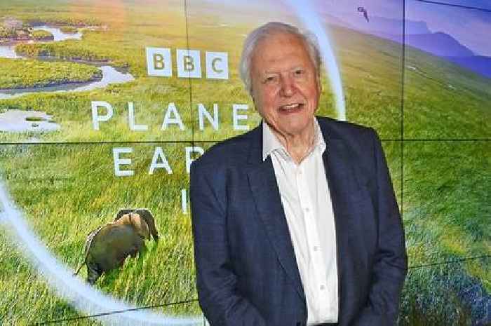 David Attenborough's diet could be 'key' to his long life as he turns 99 this week