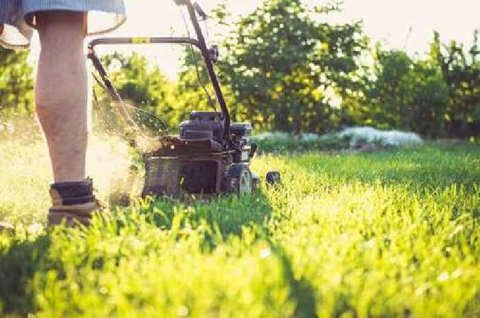 Gardeners warned 'not to mow' grass until July after Sir David Attenborough's warning