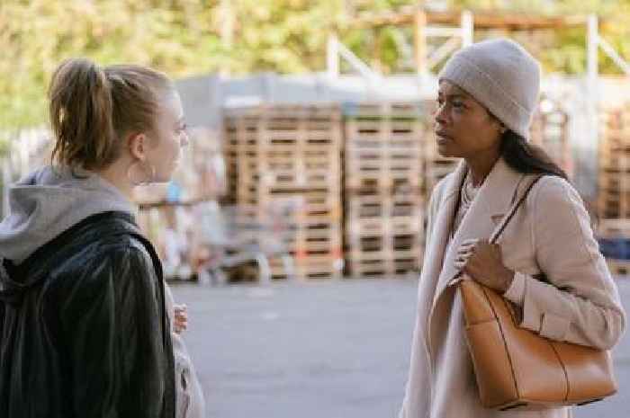 MOVIE REVIEW: Did we get stung watching thriller 'The Wasp?'