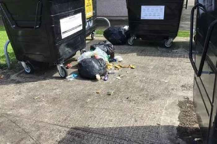 Rat sightings in West Lothian soar after bin store rubbish fly-tipping