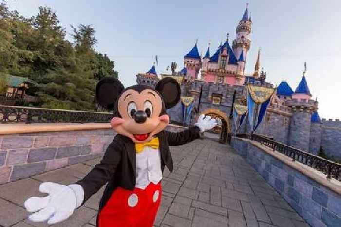 'I'm a mum – parents should never use this phrase when taking kids to Disney'