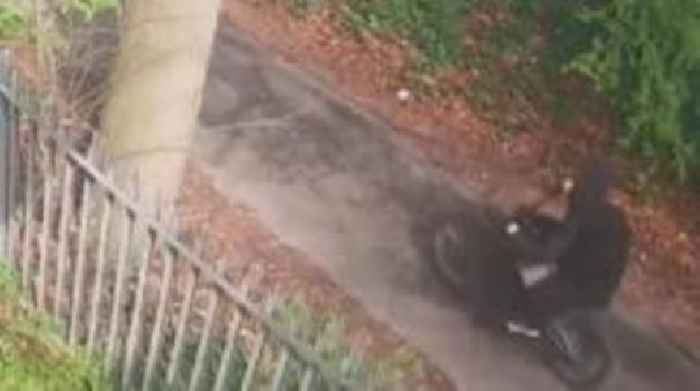 CCTV footage released after girl, 5, hit by e-bike