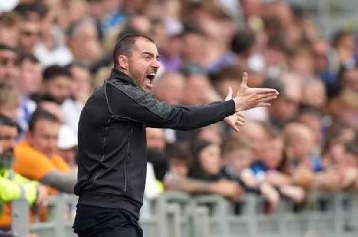 Hull City manager latest as Ruben Selles fights for his job and ex-Sunderland boss ruled out
