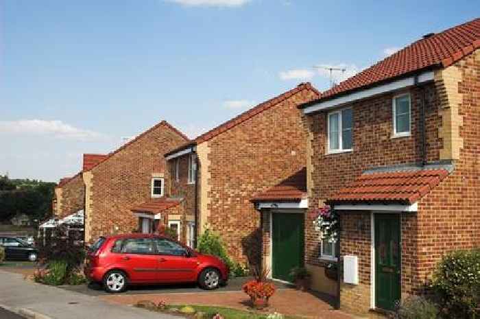 'I want to change my driveway into a garden – neighbour's reaction startled me'