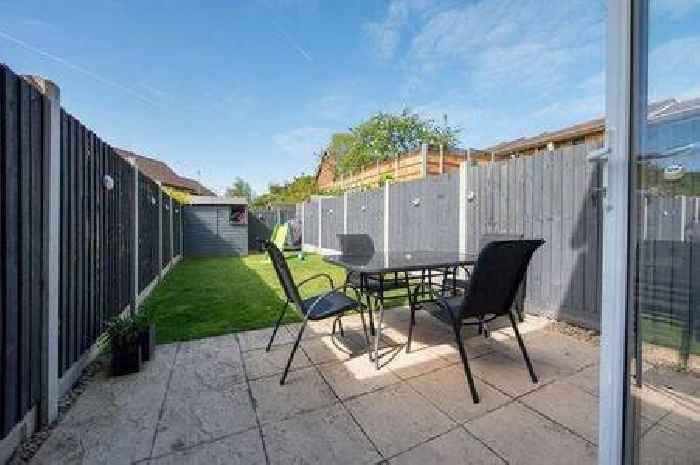 Rats won't go near your garden with 'highly effective' natural deterrent, expert claims