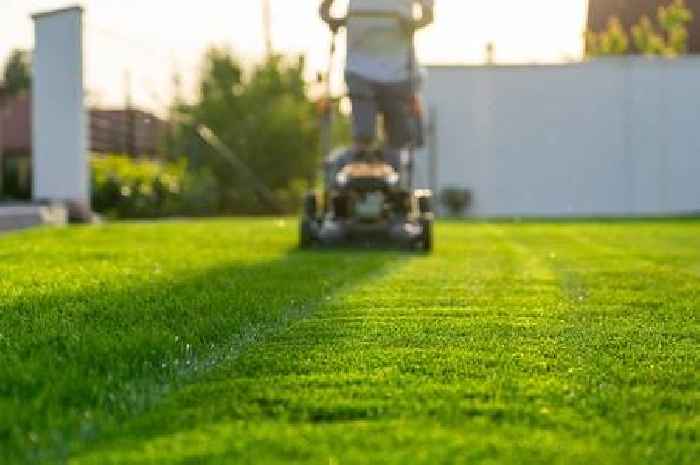 Gardening expert names best time of day to mow your lawn as they point out common error