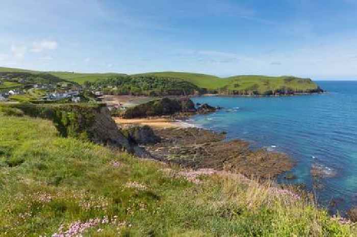 Teenager fell 100ft to her death trying to rescue dog