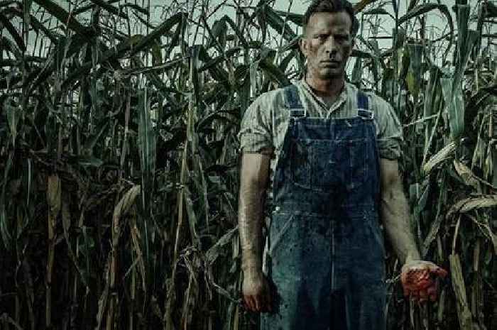 Hidden gem Netflix horror 'so menacing it gets under your skin'