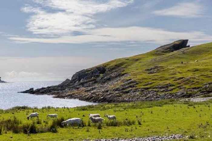 Business on remote Scottish island with only 120 residents being given away for free