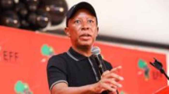 South African opposition politician hits out after failing to get UK visa