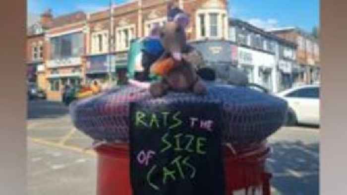 'Rats the size of cats' postbox topper appears in Birmingham