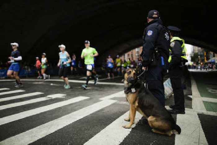 Nearly half of NYPD’s bomb squad – and their dogs – could retire this year, union says