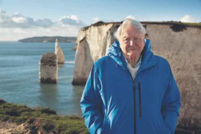 ‘I’ve directed Sir David Attenborough for 40 years – these are my best stories’