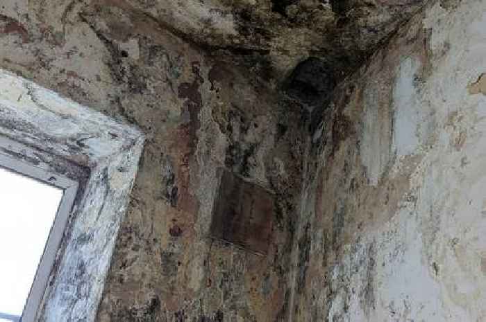 Housing block tenants hit out at 'squalid' living conditions as MP calls for urgent action