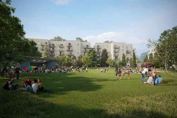 Legal challenge against Bristol zoo site 200 homes plan starts today