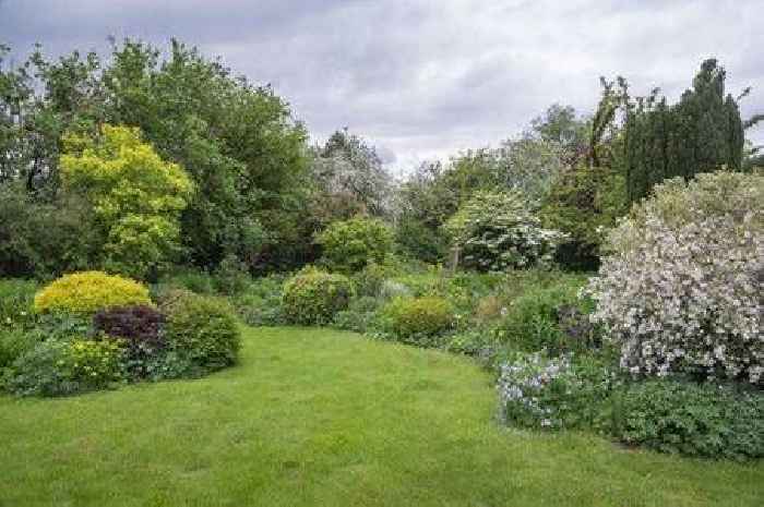 Simple steps gardeners should take before sowing grass seed