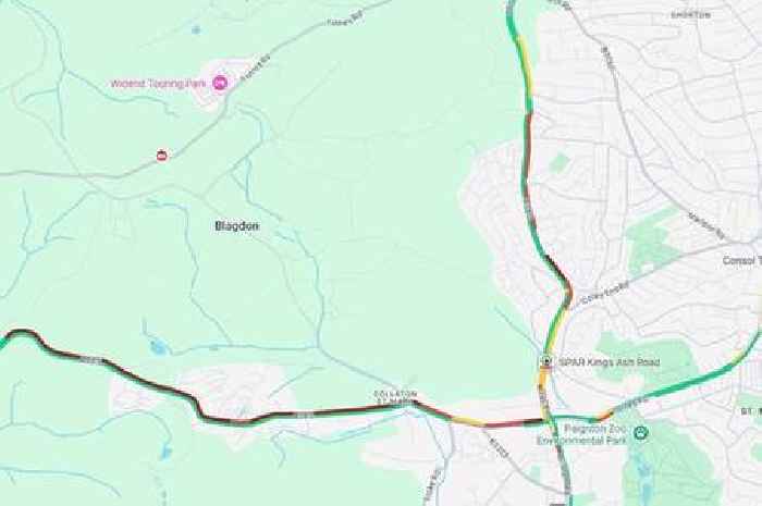 Live: Heavy traffic near Paignton Zoo as crash closes road in both directions