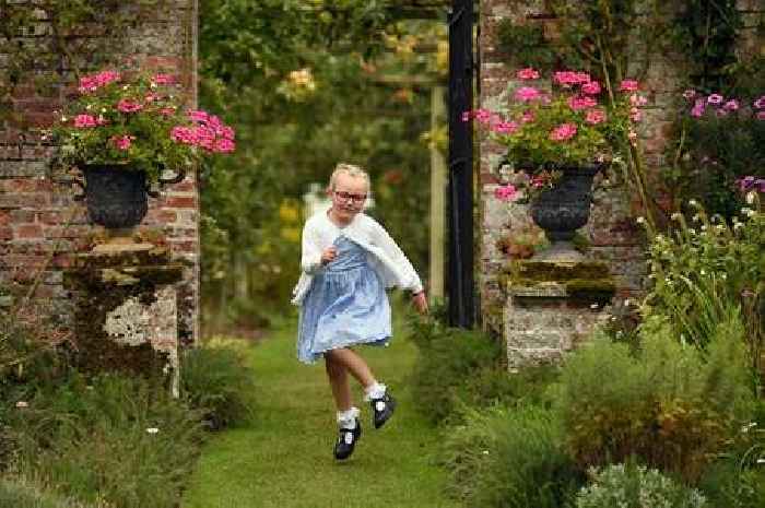 Pupils to dig in as Somerset charity offers garden grants up to £400
