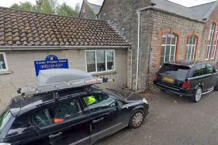 Small Somerset village primary school replacing unsafe equipment