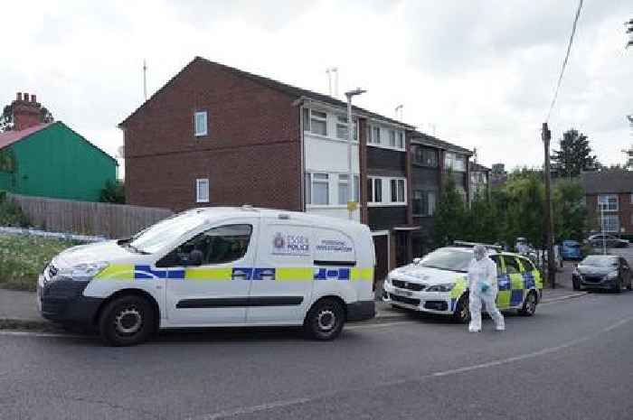 Police issue update after video inside Chelmsford home where Virginia McCullough murdered parents