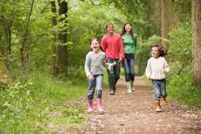 Take part in Walk Every Day in May campaign to boost your physical and mental health