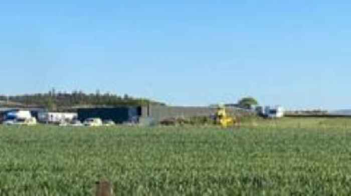 Pilot dies after small plane crashes near airfield