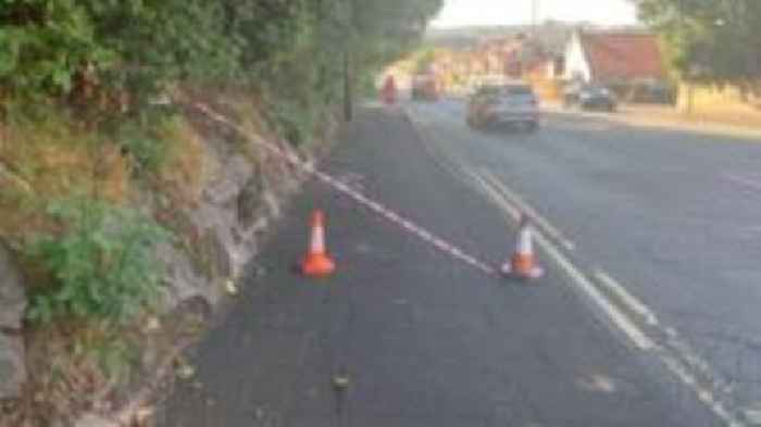 School trust fined after woman injured by branch