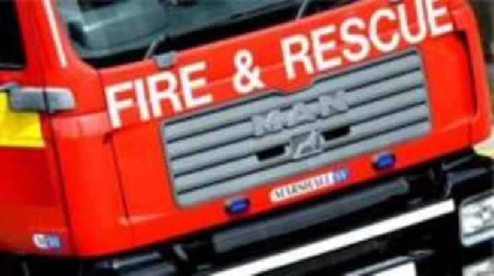Man and dog escape through window after arson attack