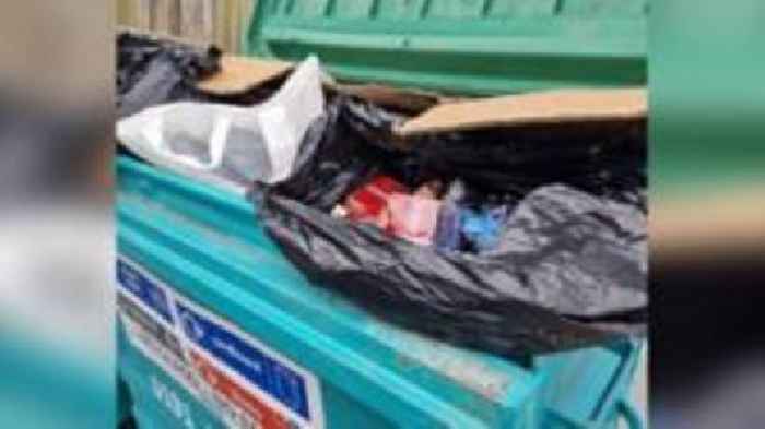 Illegal vapes stored under 'rotting waste' in bins