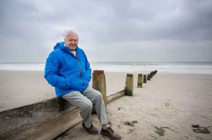 David Attenborough turns 99 ahead of documentary with 'most urgent warning yet'