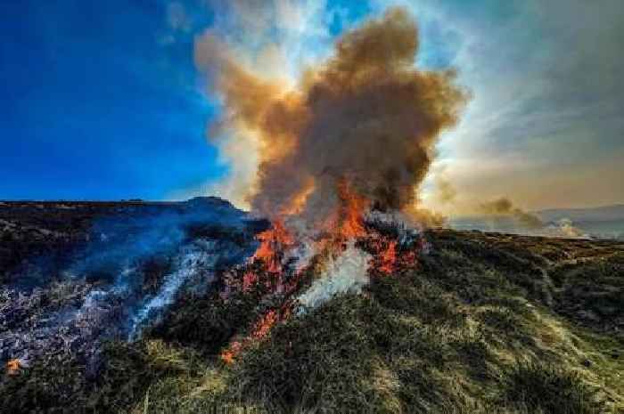 Warning of 'very high' fire risk on Dartmoor as temperatures set to climb