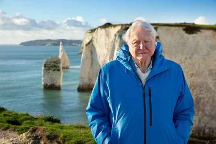 David Attenborough issues 'most urgent warning yet' in new documentary as he turns 99