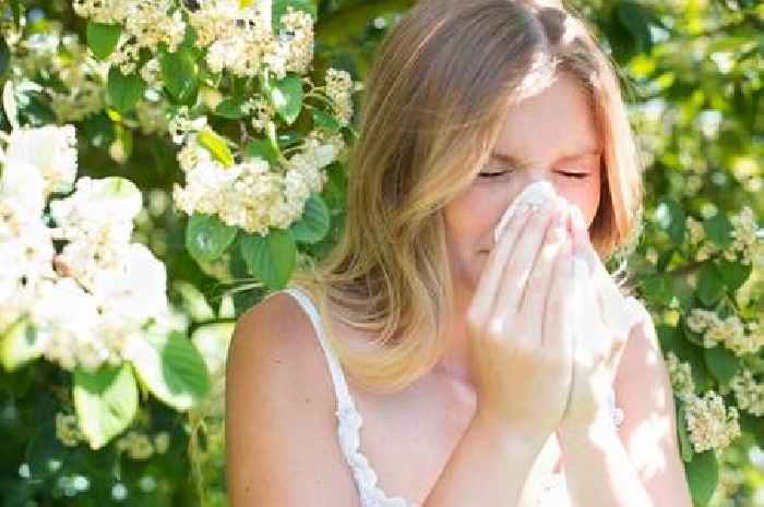 Hay fever sufferers urged to seek medical attention if they have these 3 symptoms