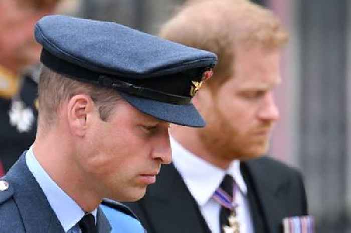 Prince William's friend gives brutal verdict on Prince Harry's BBC interview