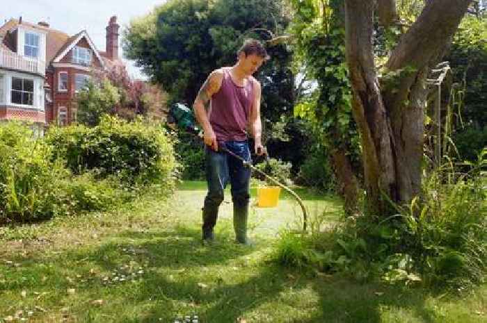 Amazon cordless strimmer that is 'light but powerful' reduced by £30 now