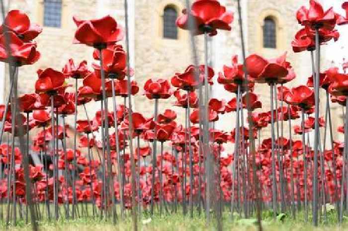As we mark our nation's greatest victory, our constant refrain must be “never again”