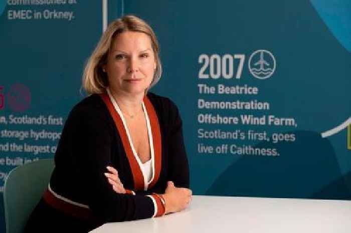 Windfarm firms claim Dumfries and Galloway could miss out on £500 million investment due to national park