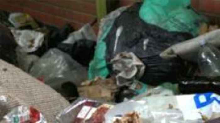 'Nightmare' litter problem as fly-tipping at 'crisis point'