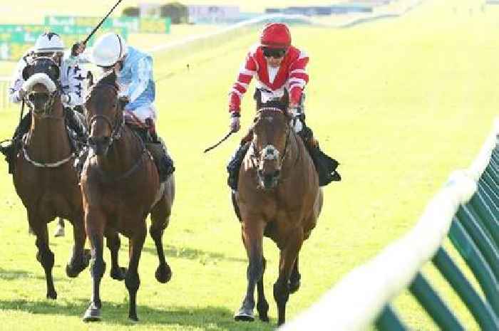 Racing tips from all seven Saturday meetings