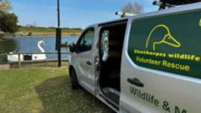 Wildlife charity's donation plea as rescues surge