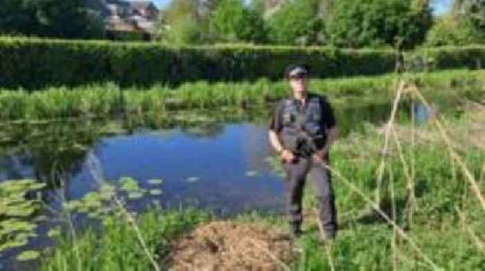Swans not killed with air rifle, police say
