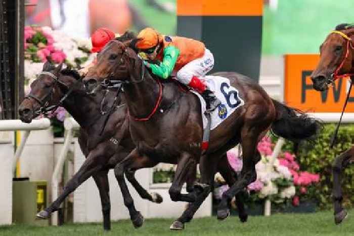 Shield to prove himself Invincible in classy Sha Tin sprint