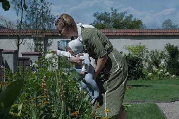'Disturbing' Oscar winning WWII film leaves Amazon Prime Video
