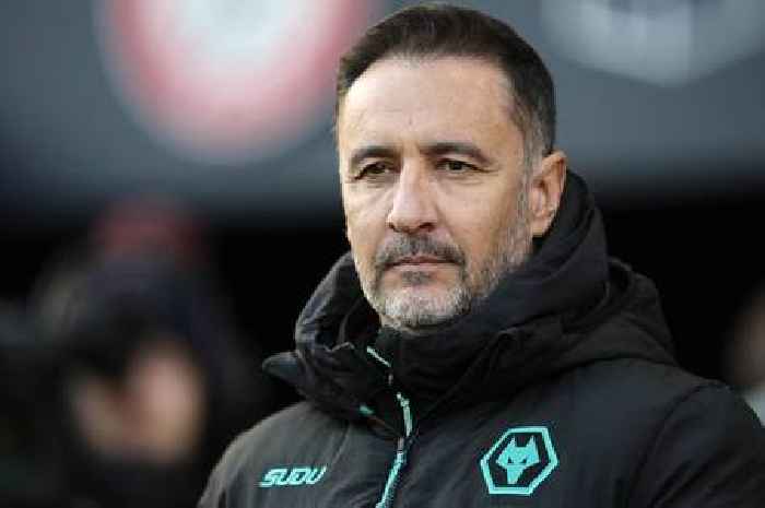 Vitor Pereira reveals plan for managerial masterpiece at Wolves
