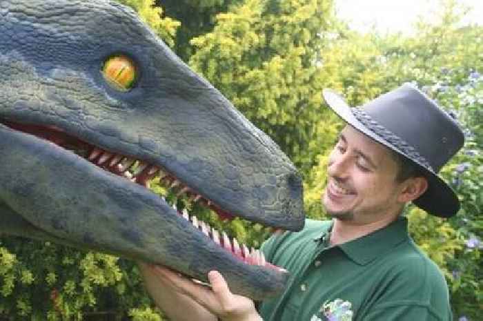 Businessman says losing dinosaurs has been 'brutal' after theft from Essex Premier Inn car park