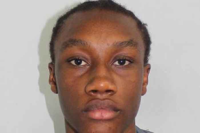 'Senseless' Walthamstow teen tried to murder man at Notting Hill carnival by stabbing him 5 times with 10-inch knife