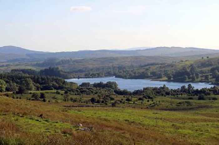 MSP claims there is 'not a majority' in favour of creating Galloway National Park