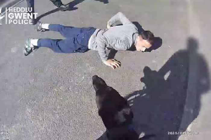 Dramatic footage shows gang member caught by police after dramatic escape through hospital car park into getaway car