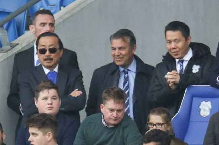 Cardiff City employ leading sports agency to draw up next manager shortlist