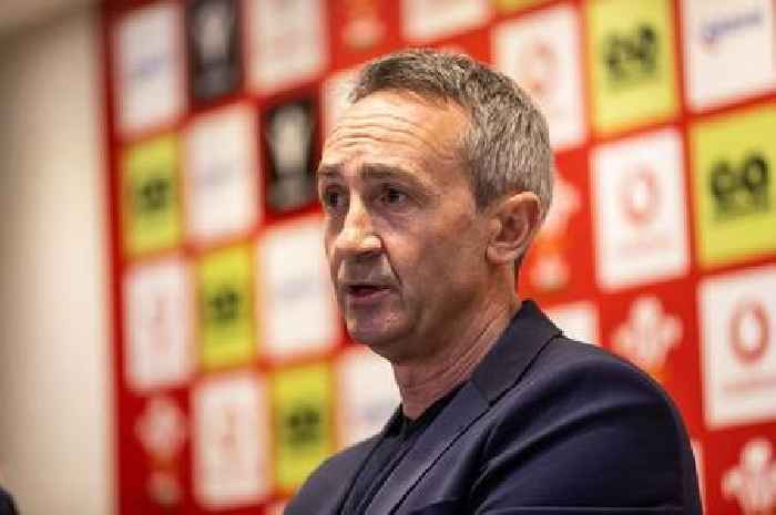 Dave Reddin steps in with new candidates in Wales head coach search
